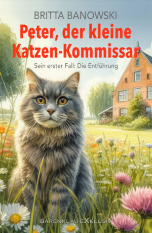 Britta Banowski – Peter, der kleine Katzen-Kommissar – Sein erster Fall: Die Entführung